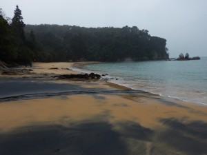 Nelson - Abel Tasman NP-034